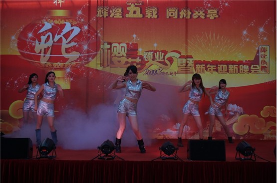 櫻花鎖業(yè)2013 新春晚會報道(圖)