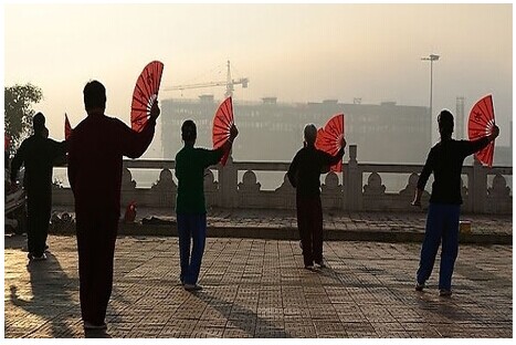 你舌尖上的第五道菜之金質(zhì)家用榨油機(jī)