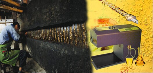 千年古法榨油,榨出新商機