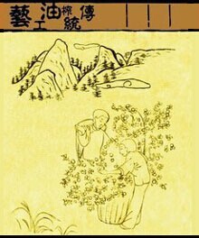 千年古法榨油,榨出新商機